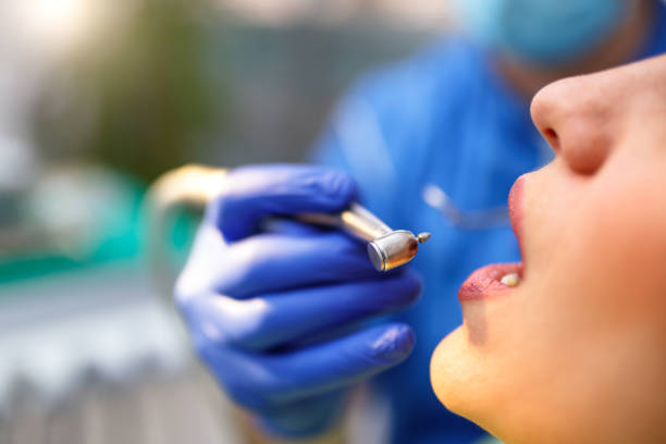  Crooked Lake Park, FL Holistic Dental Services Pros